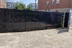 Photo-Aug-25-2-52-30-PM