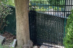 Photo-Jun-17-2-40-00-PM-1