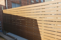 Photo-Feb-20-2-56-44-PM