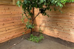 Photo-Jul-30-4-15-31-AM