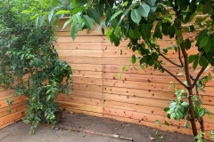 Photo-Jun-06-5-02-37-PM